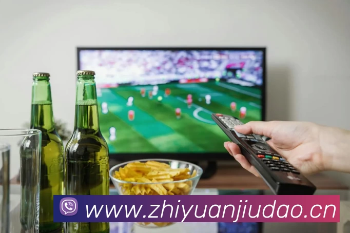 leyu乐鱼在线官网发展历程